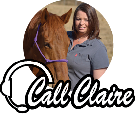 Considering horse breeds when bitting – by Claire Lund of Bomber Bits