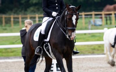Dressage rider Bert Sheffield’s favourite flatwork exercise – PLUS six burning equestrian questions